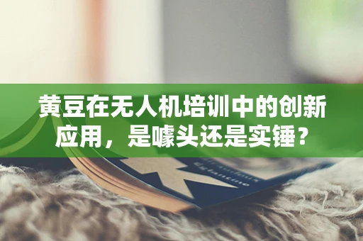 黄豆在无人机培训中的创新应用，是噱头还是实锤？