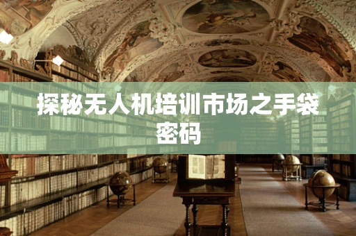 探秘无人机培训市场之手袋密码