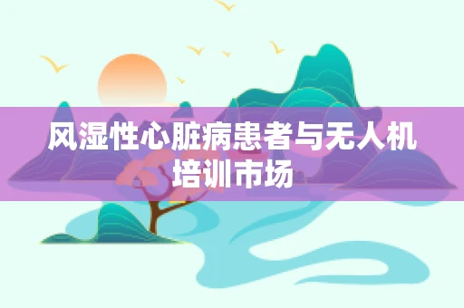 风湿性心脏病患者与无人机培训市场