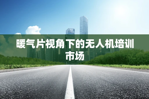 暖气片视角下的无人机培训市场