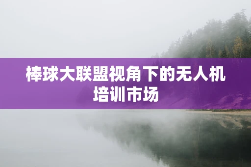 棒球大联盟视角下的无人机培训市场