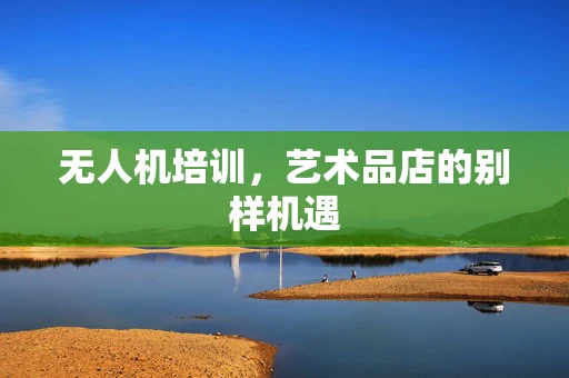 无人机培训，艺术品店的别样机遇