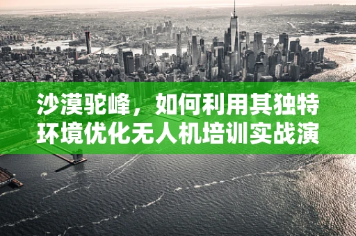 沙漠驼峰，如何利用其独特环境优化无人机培训实战演练？