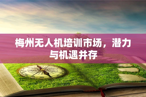 梅州无人机培训市场，潜力与机遇并存
