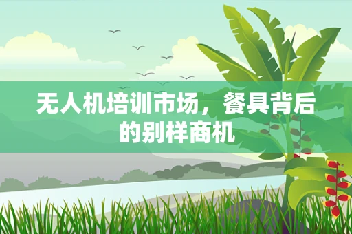 无人机培训市场，餐具背后的别样商机