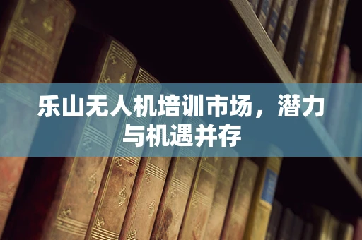 乐山无人机培训市场，潜力与机遇并存