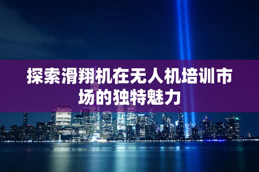 探索滑翔机在无人机培训市场的独特魅力