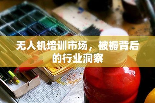 无人机培训市场，被褥背后的行业洞察