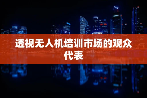 透视无人机培训市场的观众代表