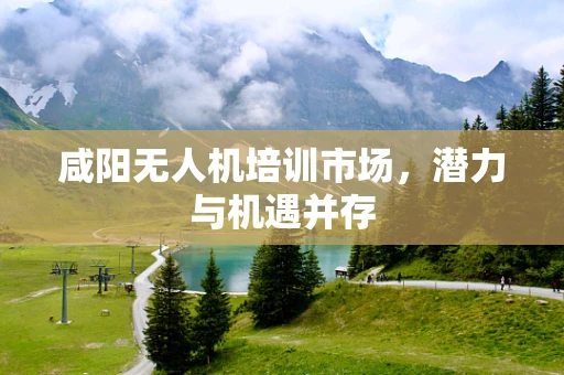 咸阳无人机培训市场，潜力与机遇并存