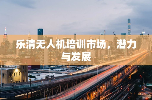 乐清无人机培训市场，潜力与发展