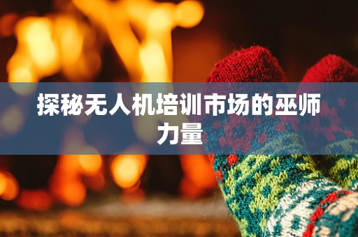 探秘无人机培训市场的巫师力量