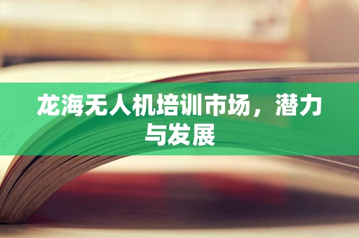 龙海无人机培训市场，潜力与发展