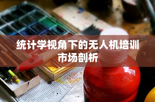 统计学视角下的无人机培训市场剖析