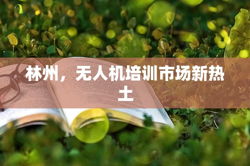 林州，无人机培训市场新热土