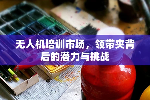 无人机培训市场，领带夹背后的潜力与挑战