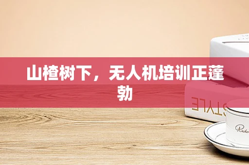 山楂树下，无人机培训正蓬勃
