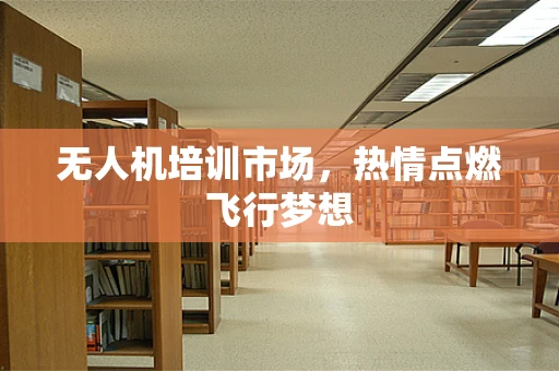 无人机培训市场，热情点燃飞行梦想