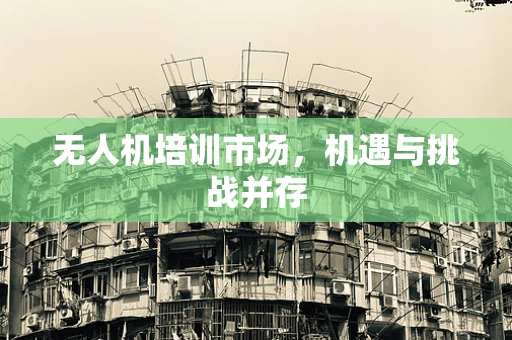 无人机培训市场，机遇与挑战并存