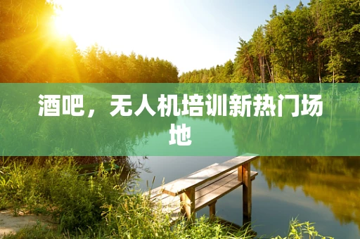 酒吧，无人机培训新热门场地