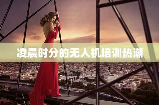 凌晨时分的无人机培训热潮