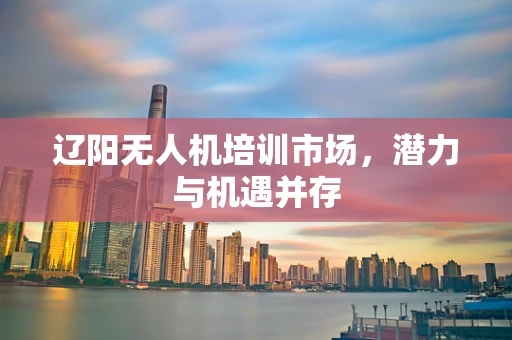 辽阳无人机培训市场，潜力与机遇并存
