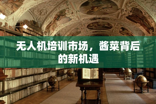 无人机培训市场，酱菜背后的新机遇