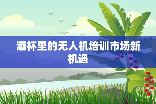 酒杯里的无人机培训市场新机遇