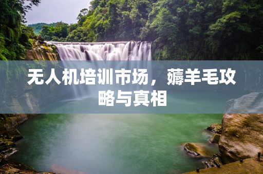 无人机培训市场，薅羊毛攻略与真相