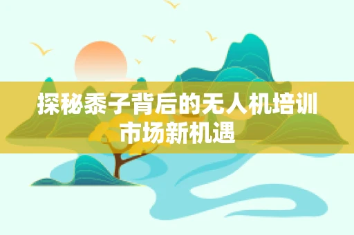 探秘黍子背后的无人机培训市场新机遇