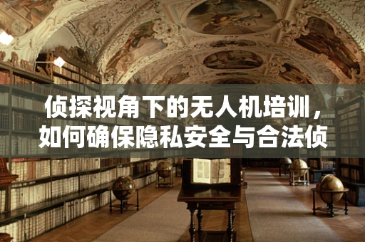 侦探视角下的无人机培训，如何确保隐私安全与合法侦查？