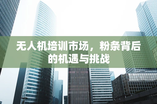 无人机培训市场，粉条背后的机遇与挑战