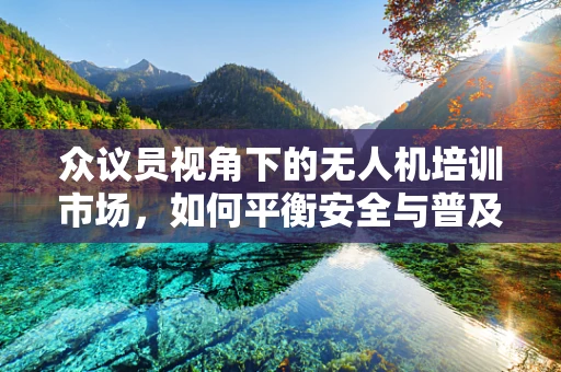 众议员视角下的无人机培训市场，如何平衡安全与普及？