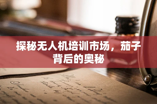 探秘无人机培训市场，茄子背后的奥秘
