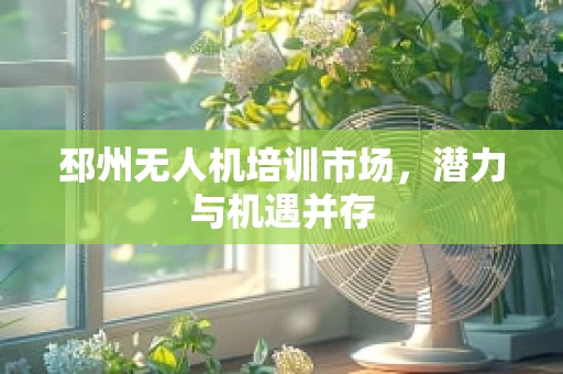 邳州无人机培训市场，潜力与机遇并存