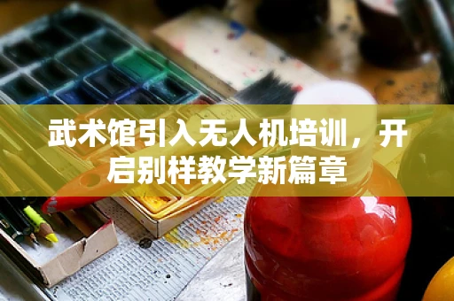 武术馆引入无人机培训，开启别样教学新篇章