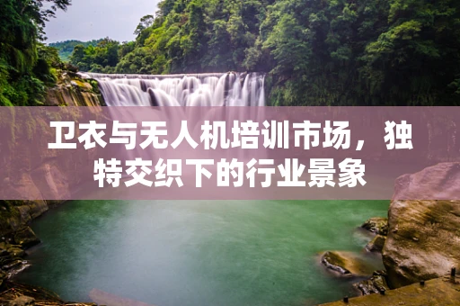 卫衣与无人机培训市场，独特交织下的行业景象