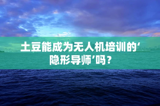 土豆能成为无人机培训的‘隐形导师’吗？