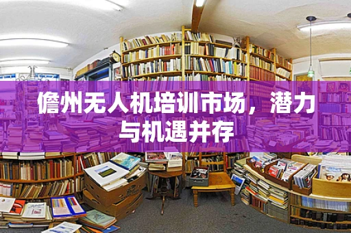 儋州无人机培训市场，潜力与机遇并存