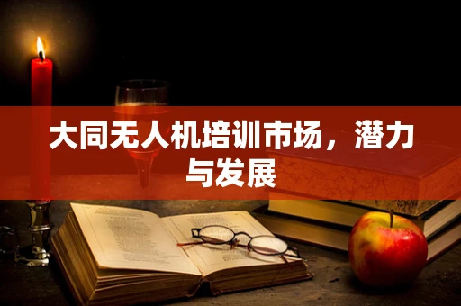 大同无人机培训市场，潜力与发展