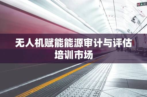 无人机赋能能源审计与评估培训市场