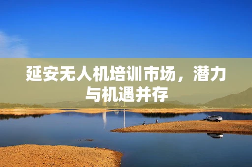 延安无人机培训市场，潜力与机遇并存