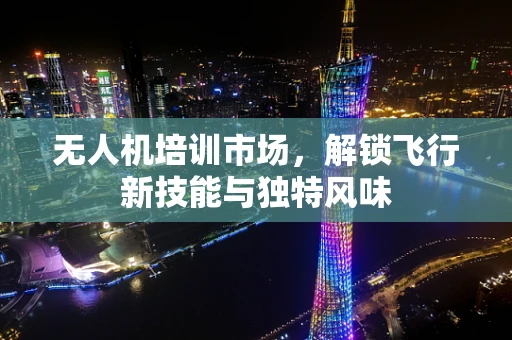 无人机培训市场，解锁飞行新技能与独特风味