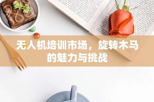 无人机培训市场，旋转木马的魅力与挑战