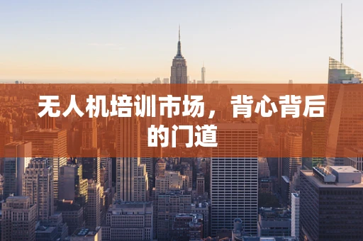 无人机培训市场，背心背后的门道