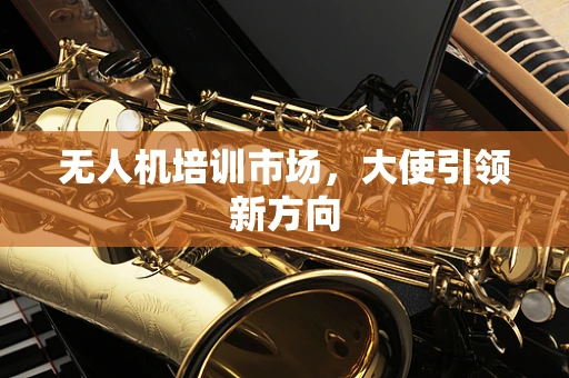无人机培训市场，大使引领新方向