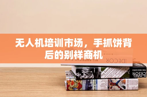 无人机培训市场，手抓饼背后的别样商机