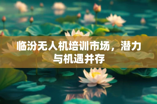 临汾无人机培训市场，潜力与机遇并存