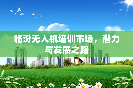 临汾无人机培训市场，潜力与发展之路
