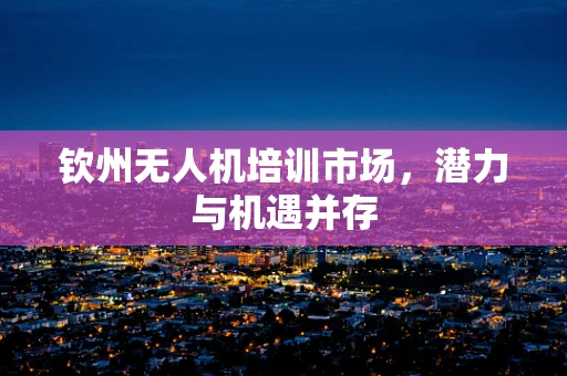 钦州无人机培训市场，潜力与机遇并存